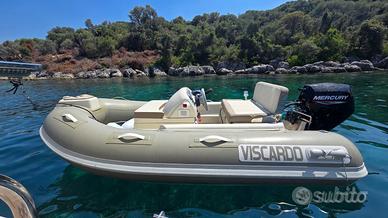Tender viscardo 290 300 plus mercury 20cv 2025