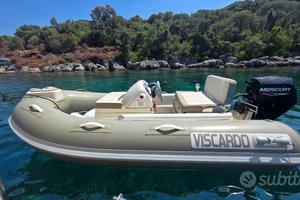 Tender viscardo 290 300 plus mercury 20cv 2025