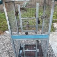 Voliera per ucceli