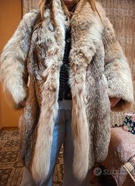 pelliccia lince canadese