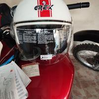 Casco grex