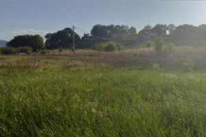 Pezzi di terreno alla castellina agricoli