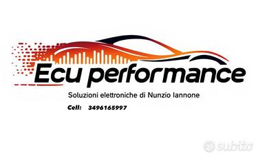 File service Rimappature ecu