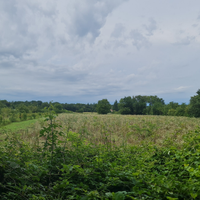 Terreno Agricolo a Gorizia - Zona Mainizza