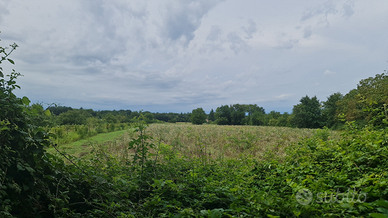 Terreno Agricolo a Gorizia - Zona Mainizza