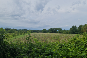 Terreno Agricolo a Gorizia - Zona Mainizza