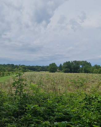 Terreno Agricolo a Gorizia - Zona Mainizza