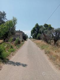 Rustico in Contrada Moneta Neviano