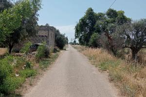 Rustico in Contrada Moneta Neviano
