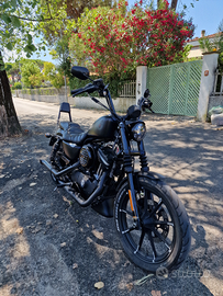 Harley Davidson 883 XL