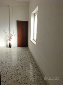 Capannone commerciale