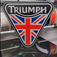 Triumph led lamp 