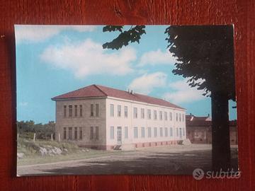 cartolina di Basaluzzo 