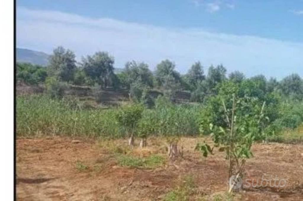 Immobile in asta di 8407 m² a Palagonia - Vista 5