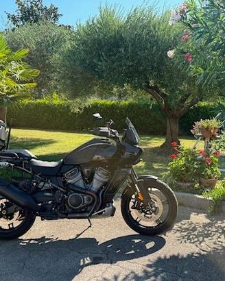 Harley-davidson Pan America 1250 special