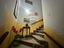 Immagine 12