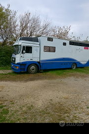 Van trasporto cavalli