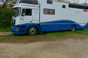 Van trasporto cavalli