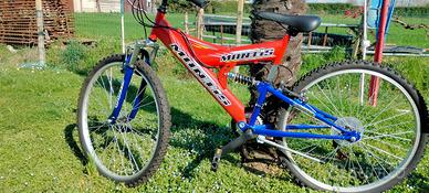 MOUNTAIN  BIKE