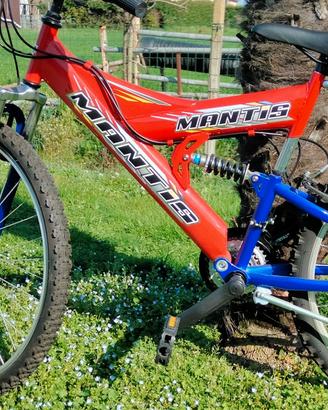 MOUNTAIN  BIKE
