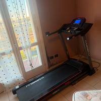 Tapirulan carnielli 310s