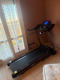 Tapirulan carnielli 310s