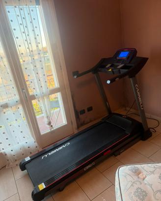 Tapirulan carnielli 310s