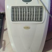 condizionatore portatile 