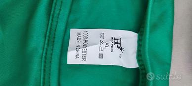 Vestito di carnevale Hulk