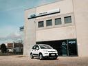 fiat-panda-1-0-hybrid-noleggio