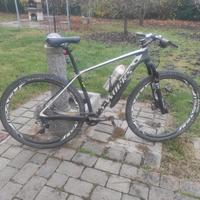 MTB Specialized Stumpjumper 29 Total carbonio . 