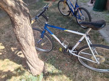 bici mountan bike
