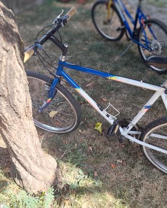 bici mountan bike