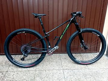 Lee Cougan Innova tg S/M ruote carbon DT SWISS 
Te