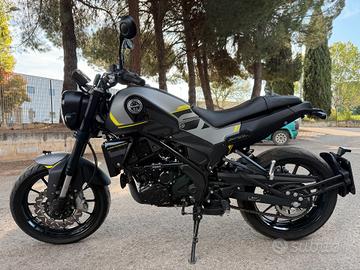 Benelli Leoncino 250