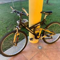 bici ragazzo 