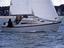 Immagine 6