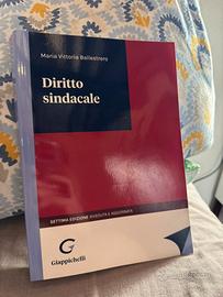 Diritto sindacale, settima edizione giurisprudenza