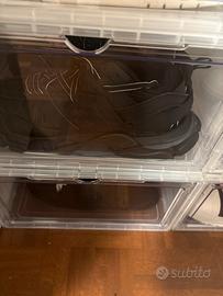 Scarpe