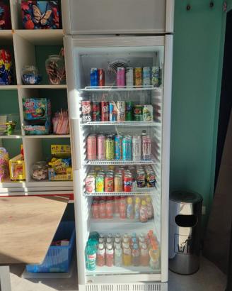 Frigo verticale bevande 3 modelli