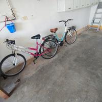 2 biciclette