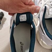 Asics challenger 14 clay 43.5