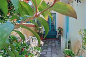 Casa Singola Con Cortile E Giardino