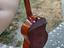 Immagine 3