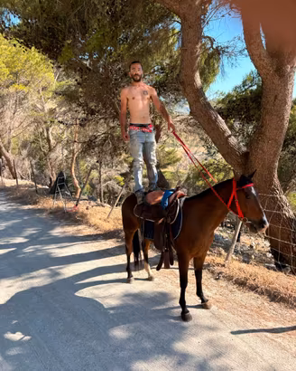Cavalla Quarter horse