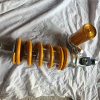 mono ohlins triumph