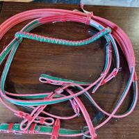 briga per cavalli nuova