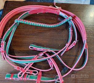 briga per cavalli nuova