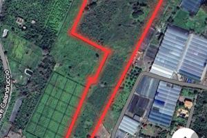 Terreno edificabile a Fiumefreddo di Sicilia