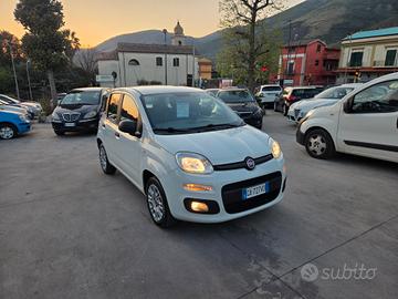 Fiat Panda N1 1.2 Easy Van 4 posti - 2020 AUTOCARR